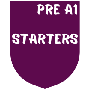 Pre A1 Starters - 08/11/2025 - Link Exclusivo Colegio Norbridge Del Viso